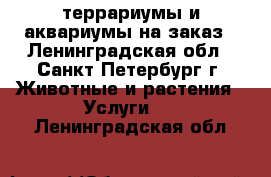 террариумы и аквариумы на заказ - Ленинградская обл., Санкт-Петербург г. Животные и растения » Услуги   . Ленинградская обл.